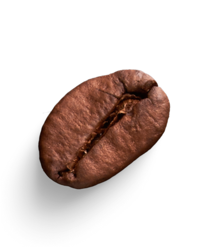 ملاحظة لا يوجد فريق تصميم لتصمي الصورة